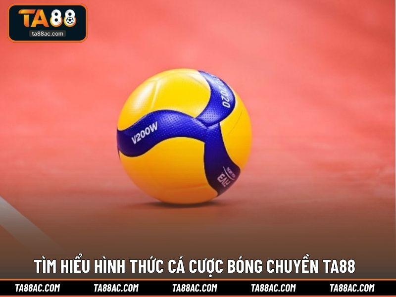 Tìm hiểu hình thức cá cược bóng chuyền TA88